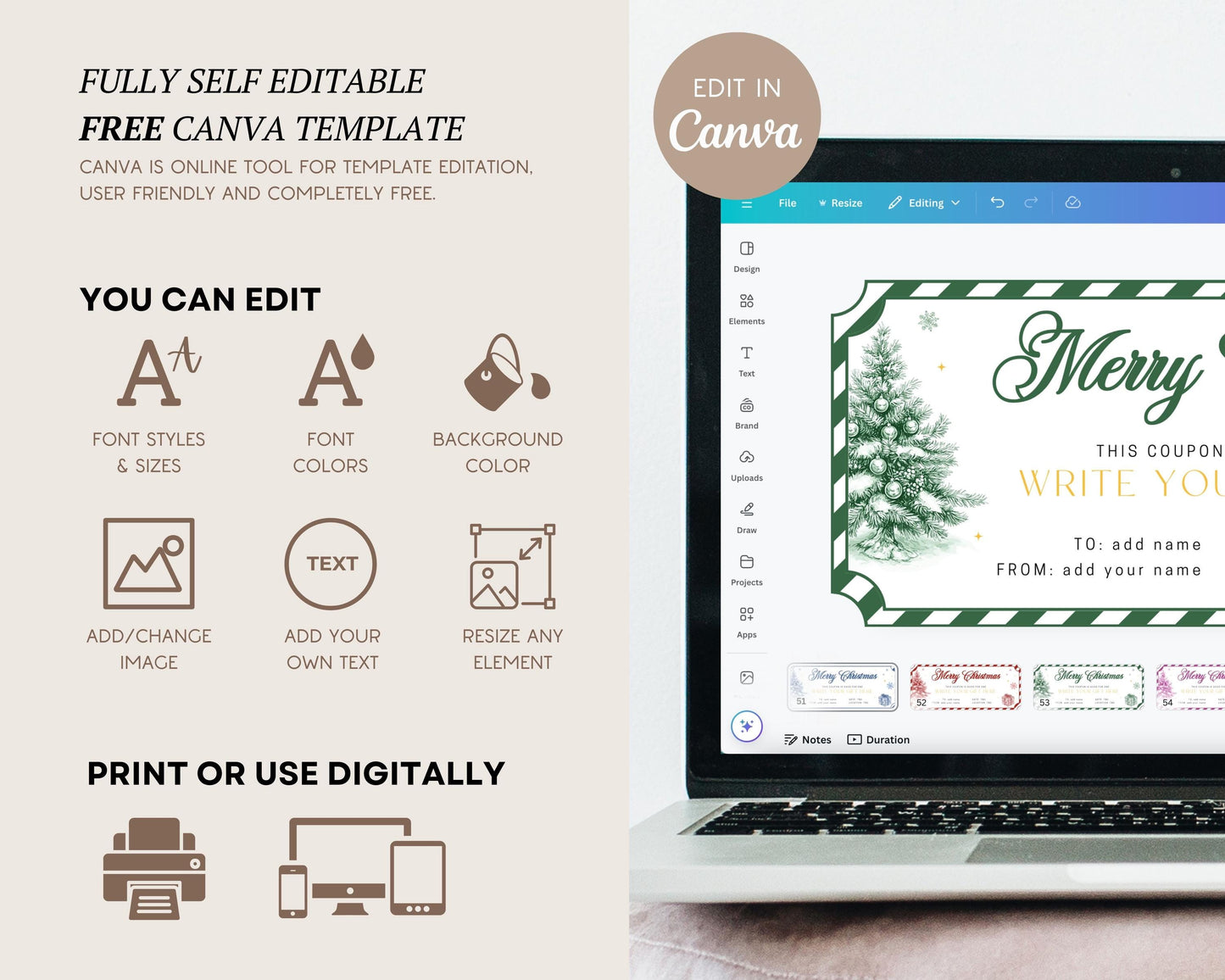 Traditional Christmas Chinoiserie Coupon Editable Template Green Christmas Ticket North Pole Coupon Gift for Son DIY Voucher Car Wash Coupon - LAUMIANstudio