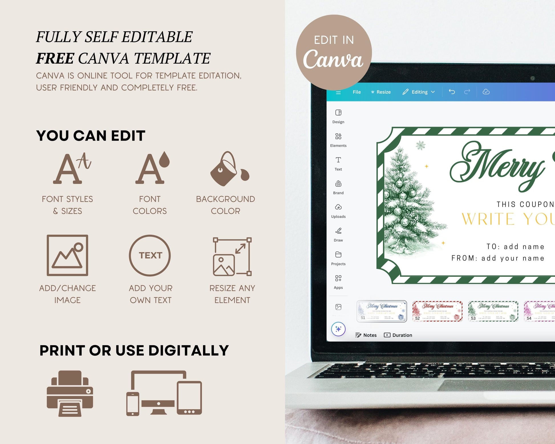 Traditional Christmas Chinoiserie Coupon Editable Template Green Christmas Ticket North Pole Coupon Gift for Son DIY Voucher Car Wash Coupon - LAUMIANstudio